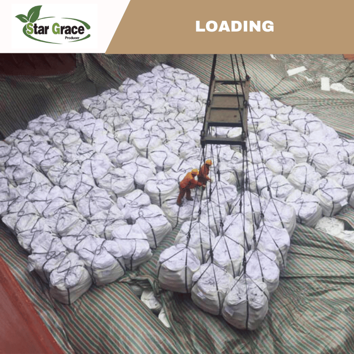 Choline Chloride In Poultry Feed