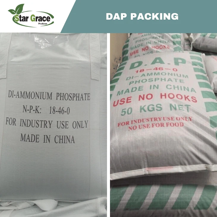 DAP Fertilizer