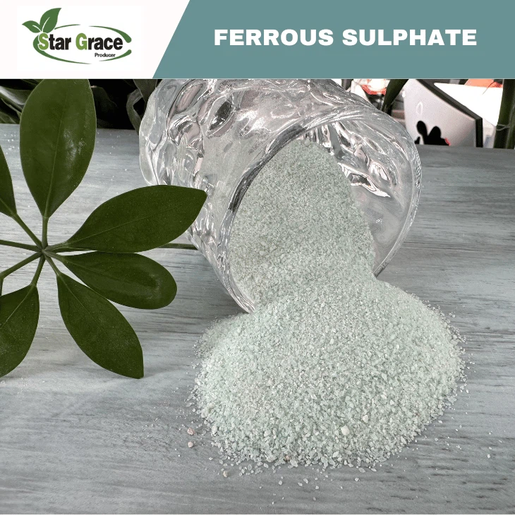 Ferrous Sulphate