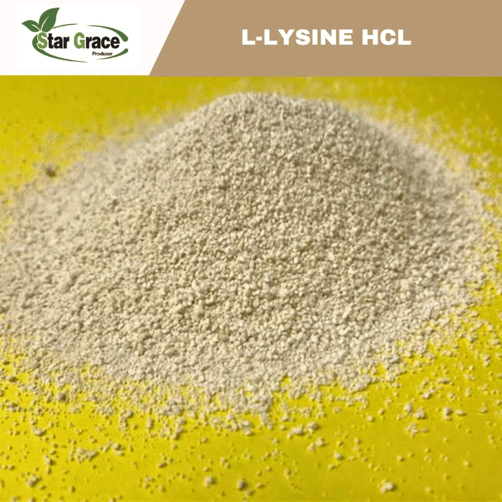 L-Lysine Monohydrochloride 98.5%