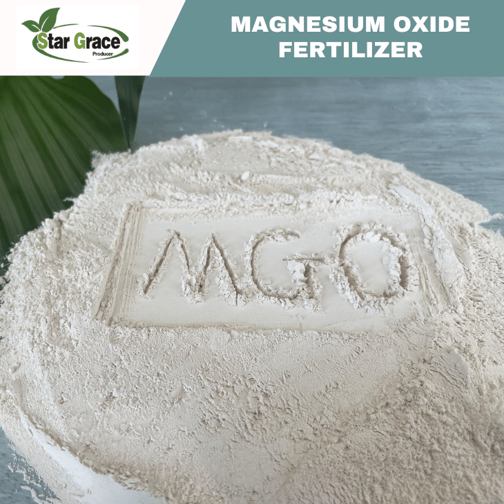 Magnesium Oxide