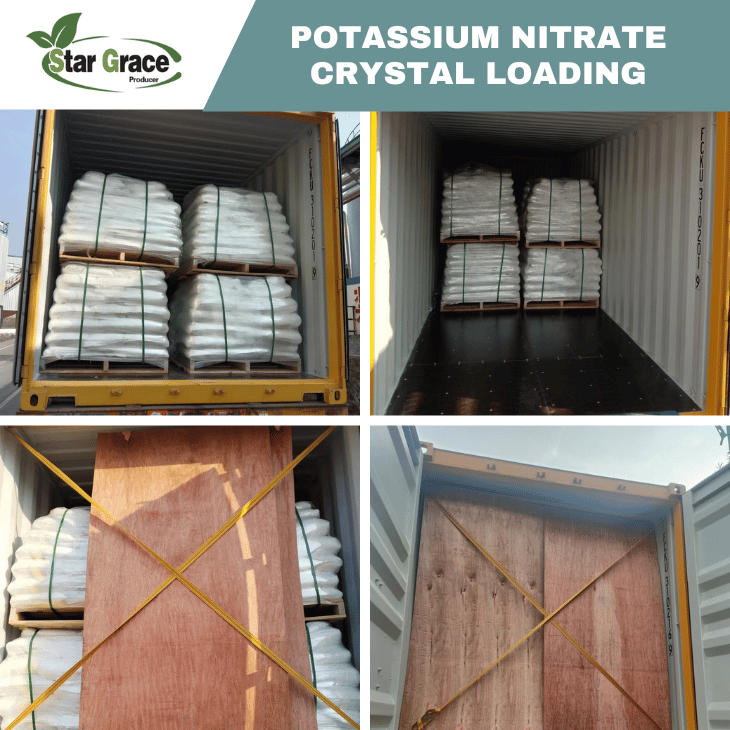 Potassium Nitrate Sugar