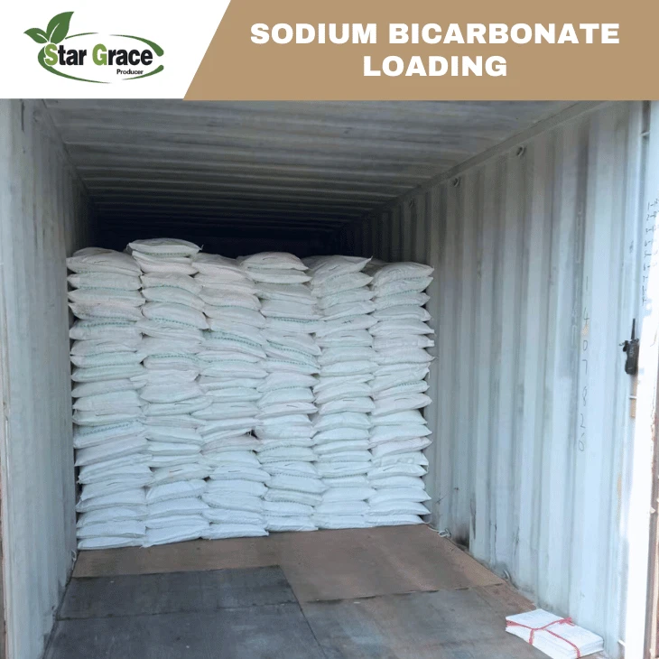 Sodium Bicarbonate Uses